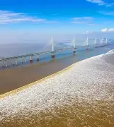 钱塘山猫队险胜云贵雄鲨队,斯诺克半决赛上演关键失误成转折!赛季拐点或已出现的简单介绍 钱塘山猫队险胜云贵雄鲨队,斯诺克半决赛上演关键失误成转折!赛季拐点或已出现的简单介绍